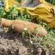 Bom peninggalan Jepang masih aktif ditemukan di Garut