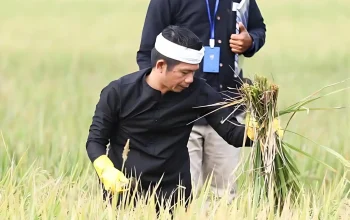 Om Zein Purwakarta kebun pertanian purwakarta untuk SPPG Dapur MBG beroperasi