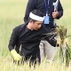 Om Zein Purwakarta kebun pertanian purwakarta untuk SPPG Dapur MBG beroperasi