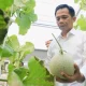 Om Zein kunjungi pertanian hidroponik Purwakarta, siapkan magang dan modal pertanian bagi warga untuk menekan angka pengangguran Purwakarta