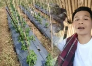 Atasi Pengangguran, Om Zein Buka Kebun Pribadi untuk Pelatihan Pertanian Karang Taruna Purwakarta