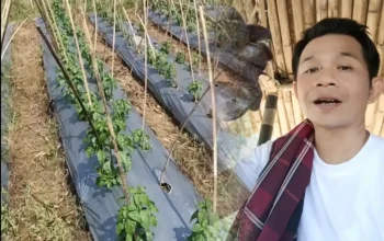 Om Zein buka kebun pribadi pelatihan BUMDes Karang Taruna atasi pengangguran Purwakarta