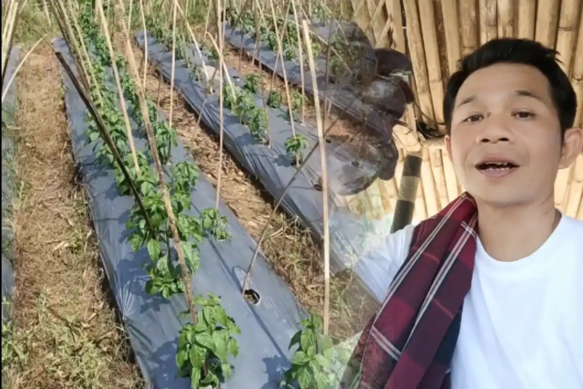 Om Zein buka kebun pribadi pelatihan BUMDes Karang Taruna atasi pengangguran Purwakarta