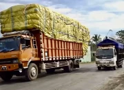 Menaker Ingatkan Pengemudi ODOL Wajib BPJS Ketenagakerjaan: Lindungi Diri dari Risiko Kerja!
