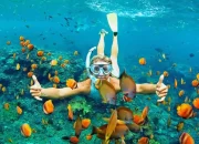 5 Lokasi Snorkeling Terbaik untuk Melengkapi Liburan Anda di Bali