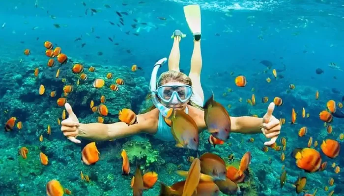 5 Lokasi Snorkeling Terbaik untuk Melengkapi Liburan Anda di Bali