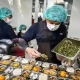 Petugas SPPG memeriksa sanitasi dapur program Makan Bergizi Gratis