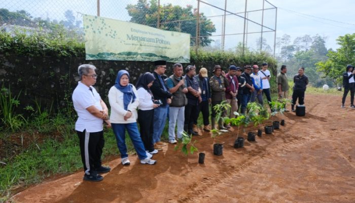 BPJS Ketenagakerjaan Jabar Tanam 250 Pohon Alpukat di Desa Girimekar