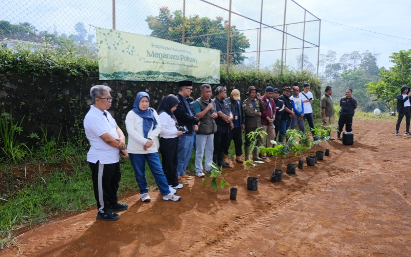 Tanam Pohon