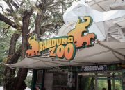 Pemkot Bandung Pastikan Penutupan Bandung Zoo Demi Ketertiban dan Kejelasan Aset Daerah