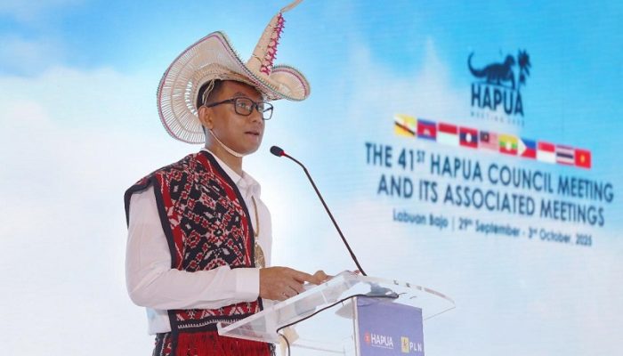 PLN Dorong Interkoneksi ASEAN Power Grid untuk Percepat Transisi Energi Bersih di Asia Tenggara