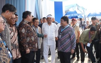 Dedi Mulyadi