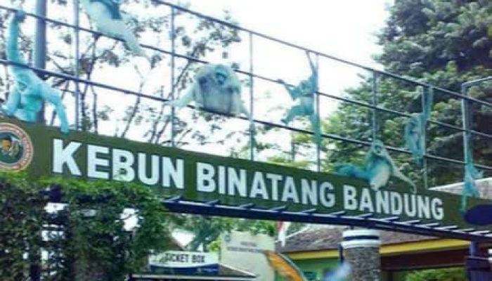 Jerit Sunyi dari Bandung Zoo: 710 Satwa di Ambang Kelaparan dan Mati Perlahan