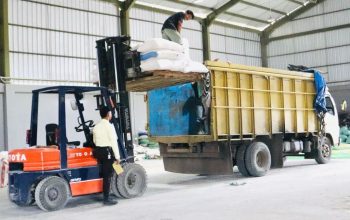 Petani Jagung Bengkayang Berdaya, PT Pangan Merah Putih Ubah Panen Jadi Harapan Baru
