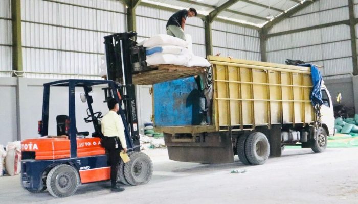 Petani Jagung Bengkayang Berdaya, PT Pangan Merah Putih Ubah Panen Jadi Harapan Baru