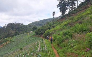 Lembah Tengkorak