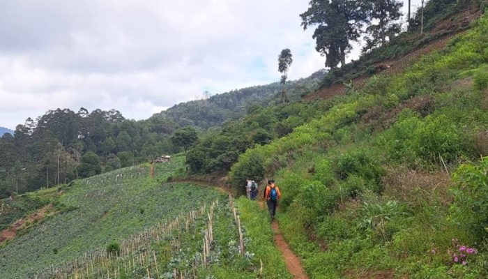 Kronologi Dua Pendaki Ayah dan Anak Hilang di Lembang Ditemukan Selamat
