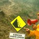 Petugas BPBD Purwakarta latihan tanggap darurat hadapi potensi tanah longsor
