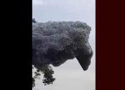 Busa Limbah ‘Awan Hitam’ Terbang ke Subang, DLH Jabar Ungkap Sumbernya