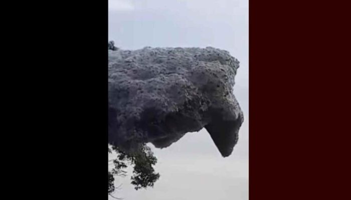 Busa Limbah ‘Awan Hitam’ Terbang ke Subang, DLH Jabar Ungkap Sumbernya