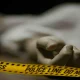 Petugas Polres Subang melakukan olah TKP kasus ayah bunuh anak di Desa Majasari, Cibogo.