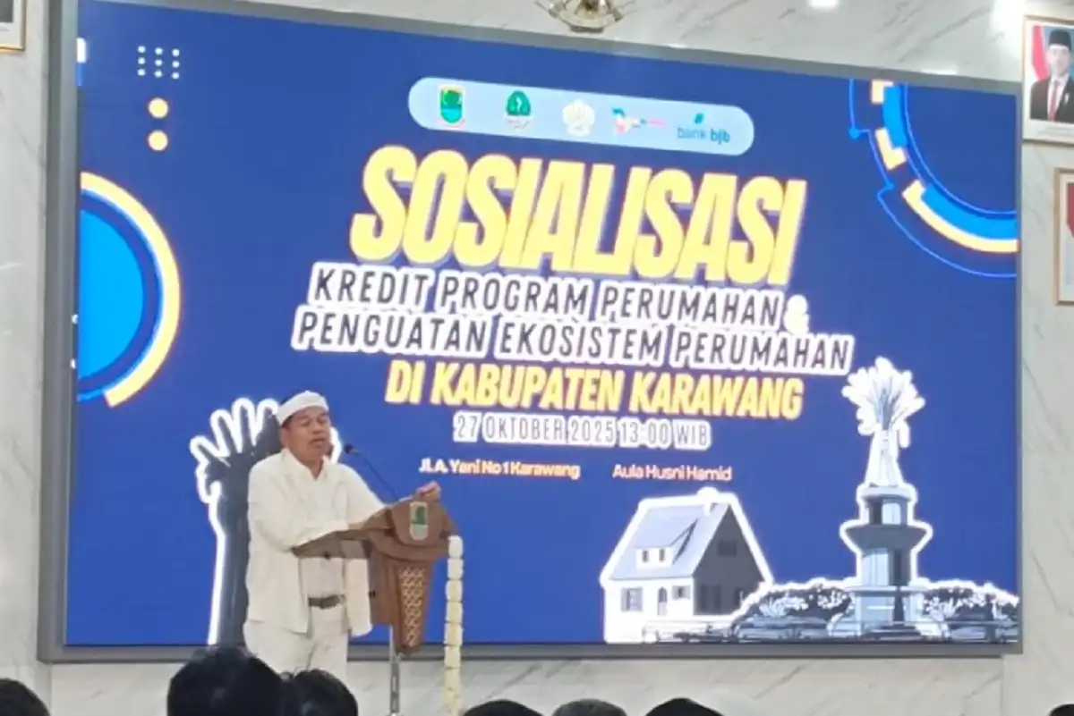 Gubernur Dedi Mulyadi meninjau tata ruang perumahan di Karawang