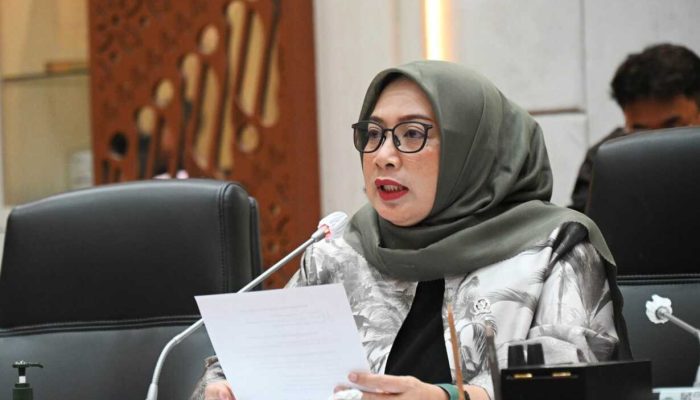 Diduga Malpraktik, DPR RI Desak Kemenkes Investigasi RS Karawang Buntut Pasien Meninggal Usai Operasi