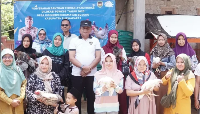 Dorong Pemberdayaan Perempuan, Diskannak Purwakarta Salurkan 100 Ayam Buras