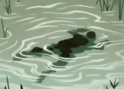 Warga Purwakarta Geger, Mayat Pria Ditemukan Mengapung di Sungai Cikao