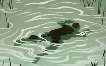 Petugas evakuasi mayat tanpa identitas dari Sungai Cikao Purwakarta