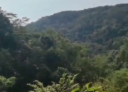 Laporan Warga Bongkar Tambang Emas Ilegal di Tasikmalaya, Diduga Gunakan Merkuri dan Sianida