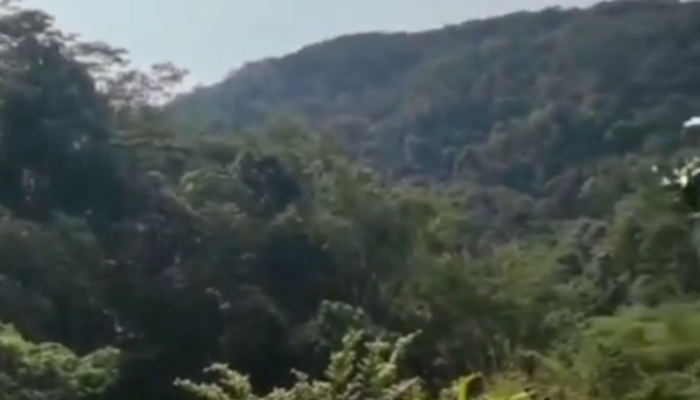 Laporan Warga Bongkar Tambang Emas Ilegal di Tasikmalaya, Diduga Gunakan Merkuri dan Sianida