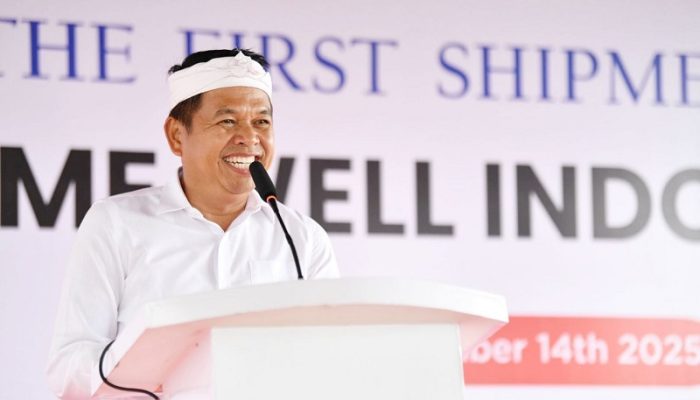 Jabar Kehilangan 1,4 Juta Hektare Ruang Hijau, Dedi Mulyadi Siapkan Penertiban Besar-Besaran