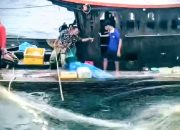 Kapal Nelayan Batu Bara Karam Diterjang Ombak di Labuhanbatu, 11 ABK Selamat