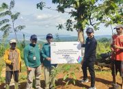 Rehabilitasi Lahan Kritis di Sumedang, PLN UIP JBT Tanam 2.400 Pohon dan Kembangkan Agroforestry 10 Hektare