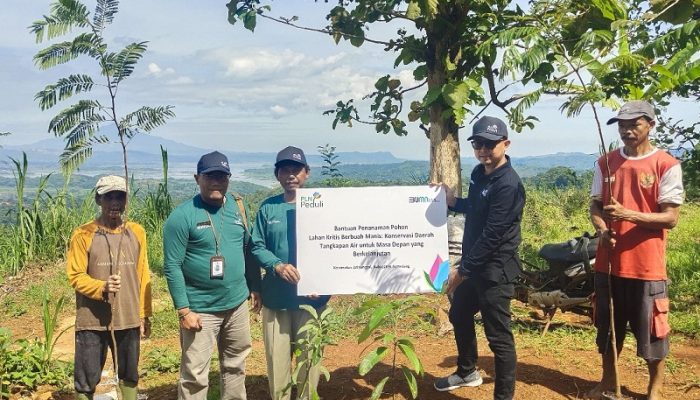 Rehabilitasi Lahan Kritis di Sumedang, PLN UIP JBT Tanam 2.400 Pohon dan Kembangkan Agroforestry 10 Hektare