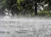 Diguyur Hujan Deras, Pohon Tumbang dan Banjir Terjang Tasikmalaya