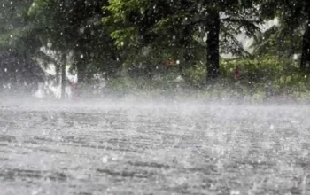 Pohon tumbang menutupi jalan di Tasikmalaya