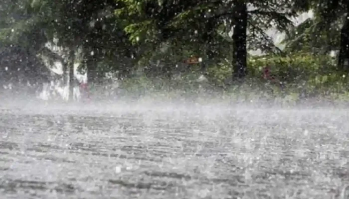 Diguyur Hujan Deras, Pohon Tumbang dan Banjir Terjang Tasikmalaya