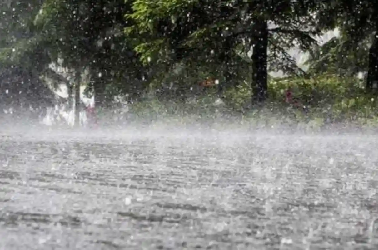 Pohon tumbang menutupi jalan di Tasikmalaya