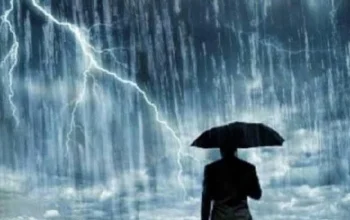 BPBD bersihkan pohon tumbang akibat cuaca ekstrem Purwakarta