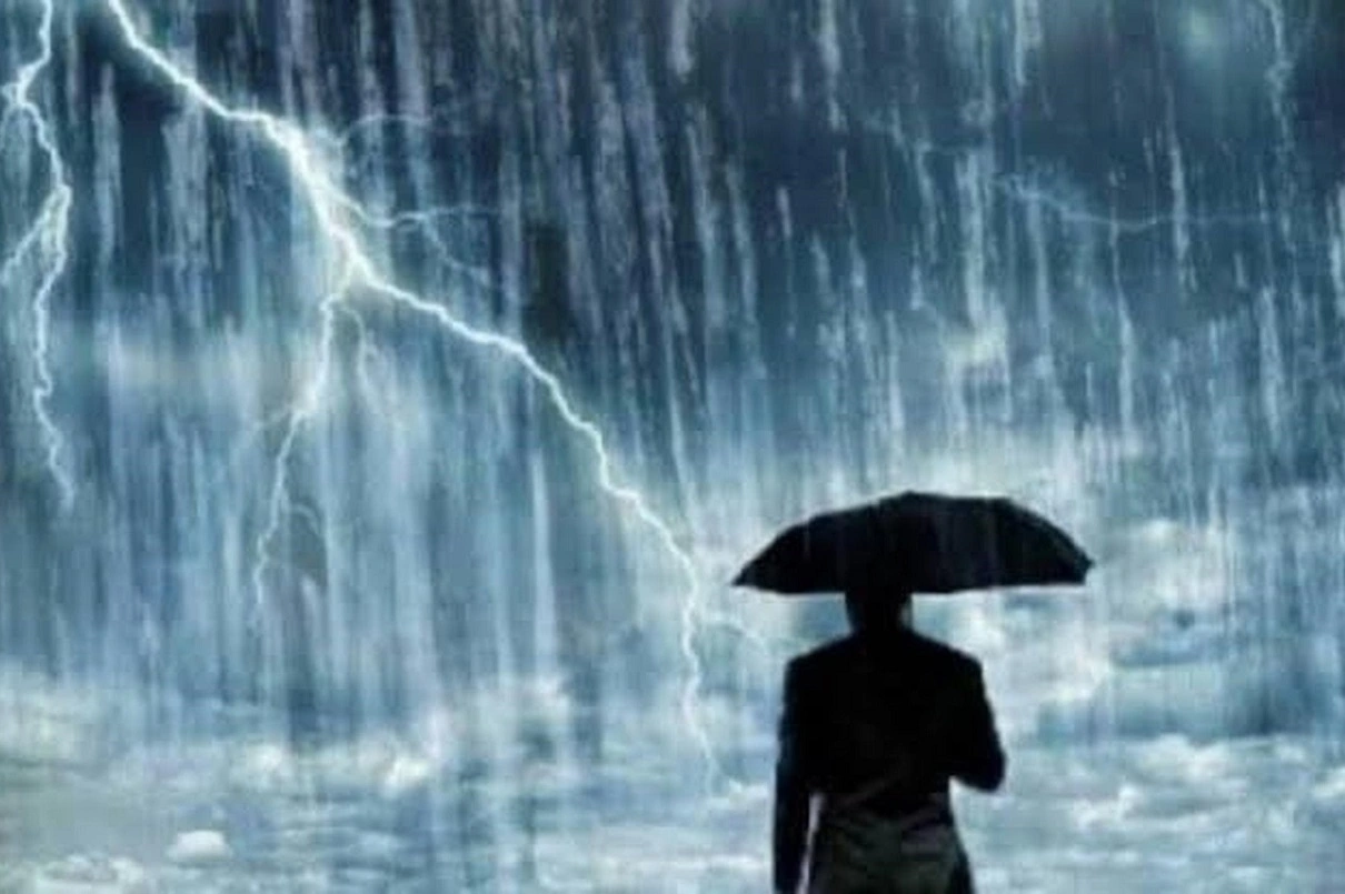 BPBD bersihkan pohon tumbang akibat cuaca ekstrem Purwakarta