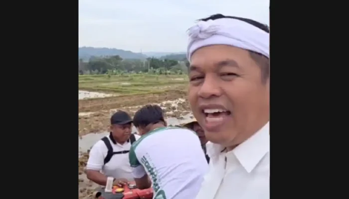 Limbah Jadi Energi! Dedi Mulyadi Ubah Jerami Jadi Bahan Bakar Traktor di Subang