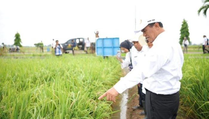 Ketahuan Sewakan Lahan Negara, Mentan Amran Copot Dua Pejabat Kementan di Subang
