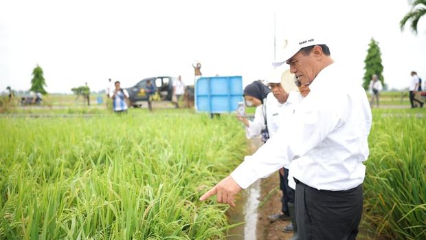 Mentan Amran Sulaiman copot dua pejabat Kementan di BRMP Sukamandi Subang karena sewakan lahan negara