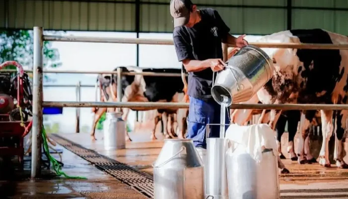 Target 3 Juta Liter Susu per Hari, Prabowo Bangun Peternakan Sapi Perah Raksasa