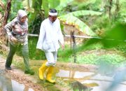 Dedi Mulyadi Kerahkan Warga Pulihkan Hutan Rusak, Upah Harian Rp50 Ribu Mulai Desember 2025