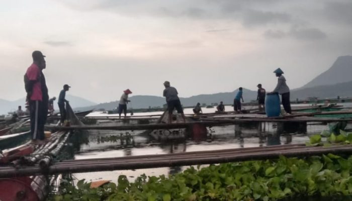 Kronologi Lansia Hilang di Waduk Jatiluhur saat Cek Jaring Apung