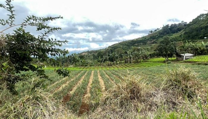 Reforma Agraria di Cianjur Masuk Tahap Pemanfaatan, Bank Tanah Dorong Akses Lahan Produktif Warga