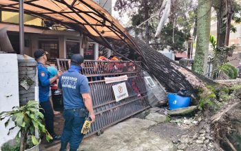 Pohon Mahoni Ratusan Tahun Tumbang Timpa Rumah di Bandung, Pemilik Ancam Somasi Pemkot
